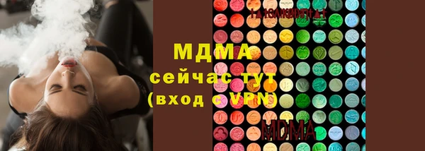 индика Зерноград