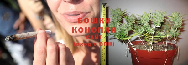 гидропоника Зеленодольск
