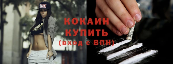 индика Зерноград