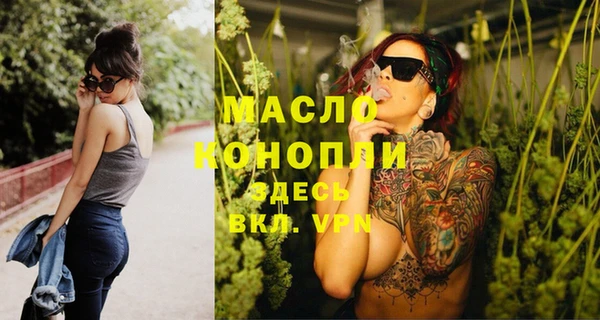 индика Зерноград