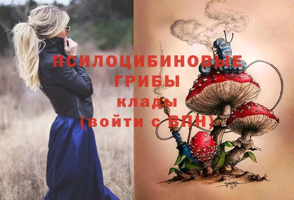мдпв Зеленокумск