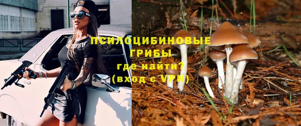 гидропоника Зеленодольск