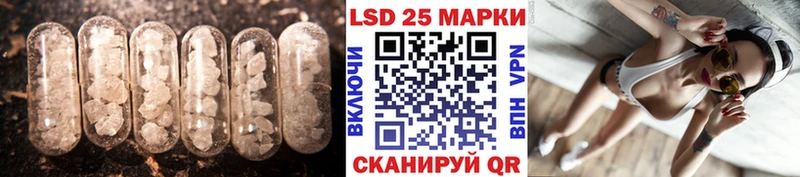 Купить  Судак  Лсд 25 экстази кислота 