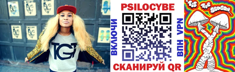 Купить закладки  Судак  Галлюциногенные грибы Psilocybine cubensis 